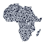 Lanfrica logo